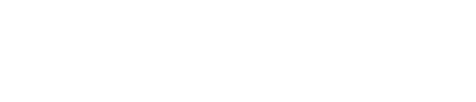 Logo MAXWIN288